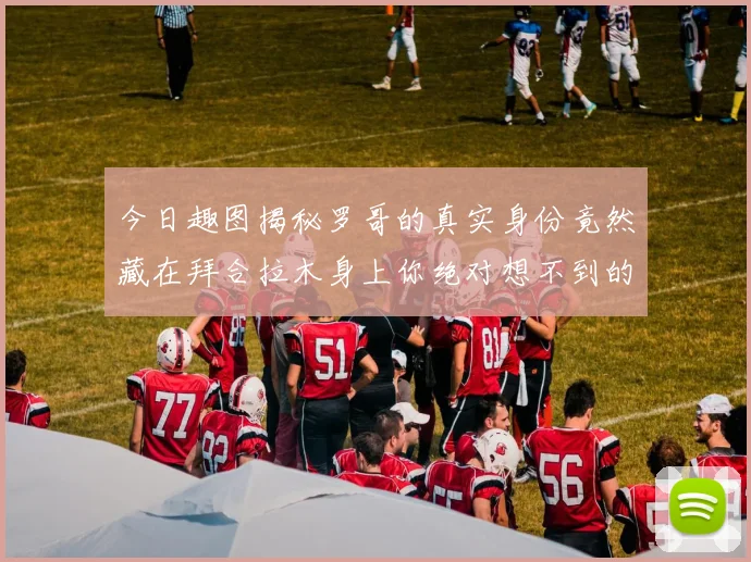 今日趣图揭秘罗哥的真实身份竟然藏在拜合拉木身上你绝对想不到的真相
