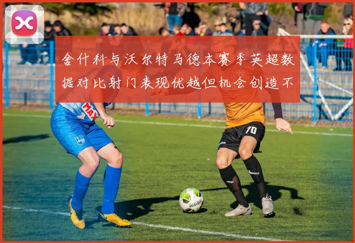 舍什科与沃尔特马德本赛季英超数据对比射门表现优越但机会创造不足