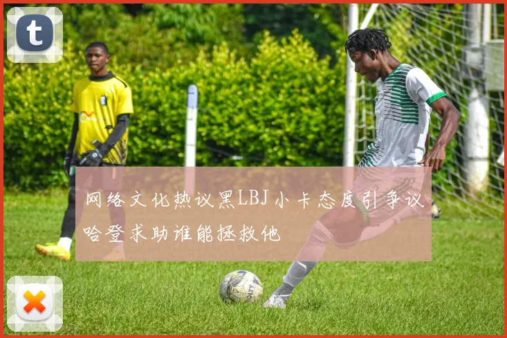 网络文化热议黑LBJ小卡态度引争议哈登求助谁能拯救他