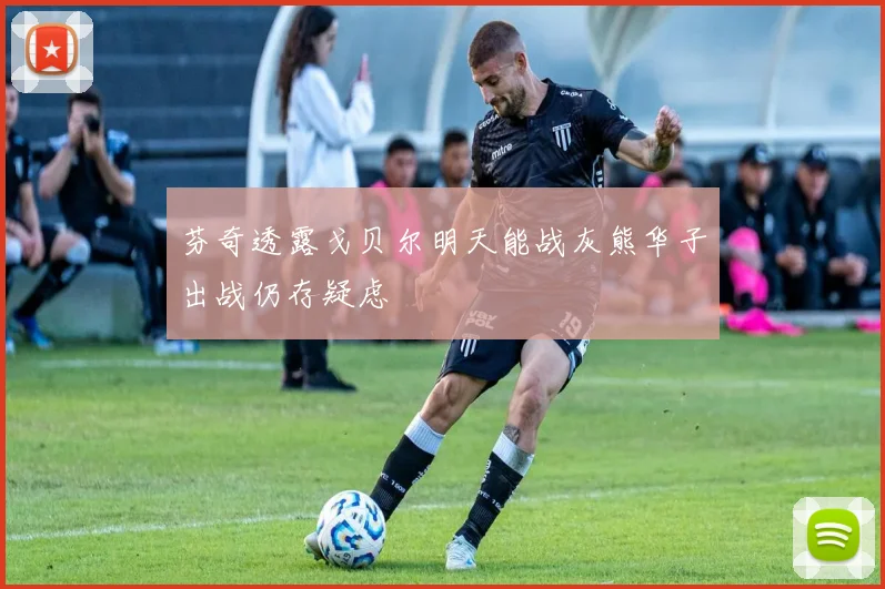 芬奇透露戈贝尔明天能战灰熊华子出战仍存疑虑