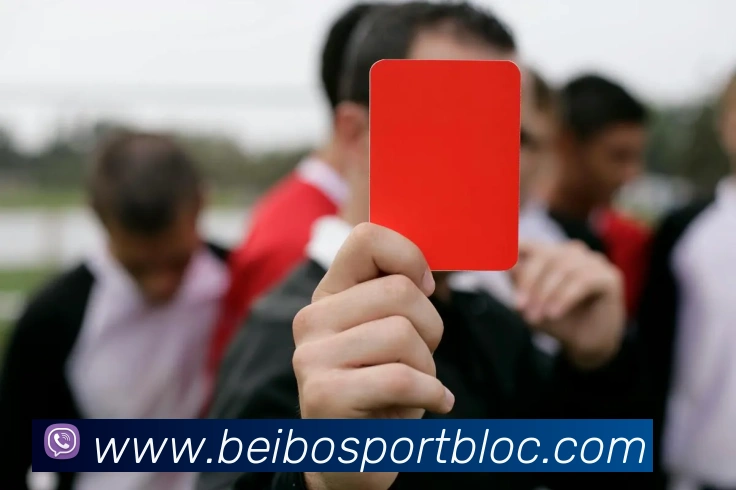 贝博足球平台生态图