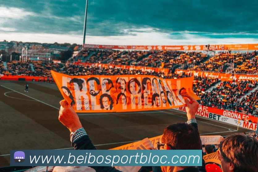 贝博足球APP 封面图