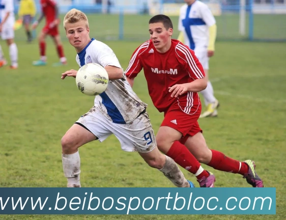 数据防护可视化