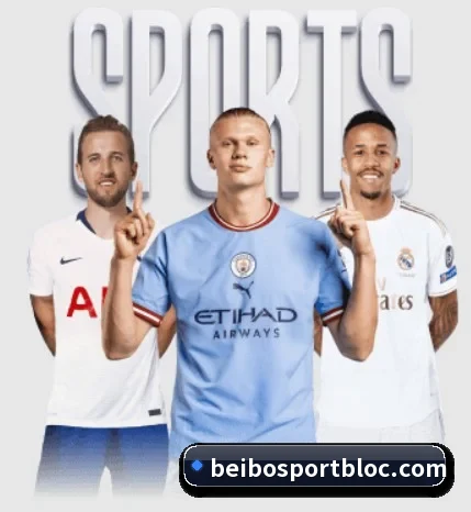 贝博足球的故事(BEIBOSPORTS)