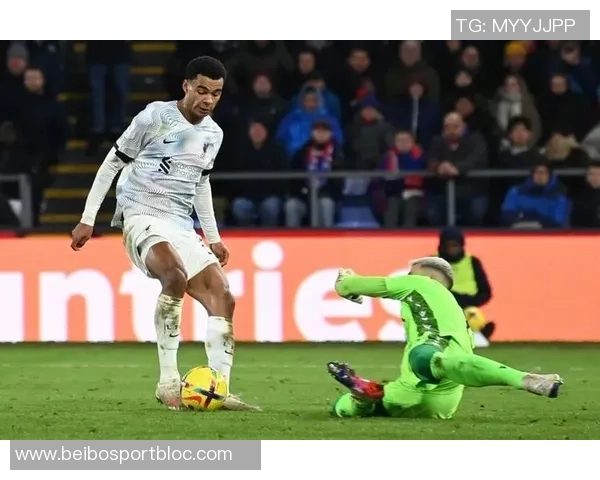 世欧预赛助攻榜揭晓佩剑与加克波领衔厄德高奥利塞维尔茨紧随其后