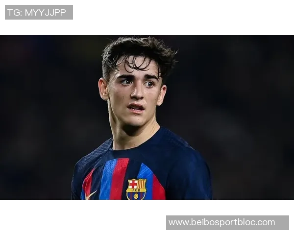 加维恢复进展顺利有望在明年二月重返赛场